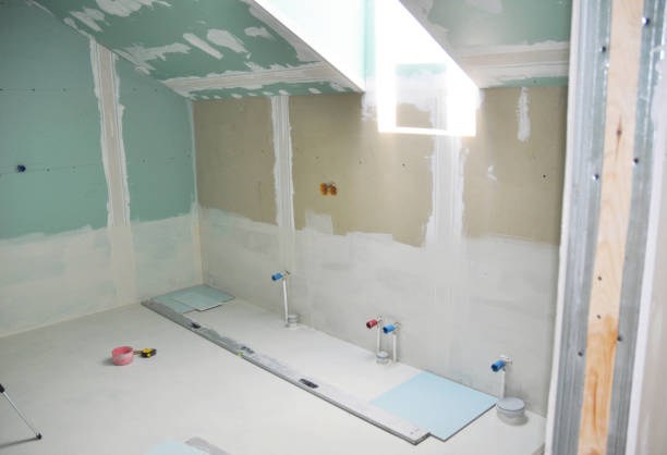 Best Mold-Related Health Consultation  in Junction City, KS