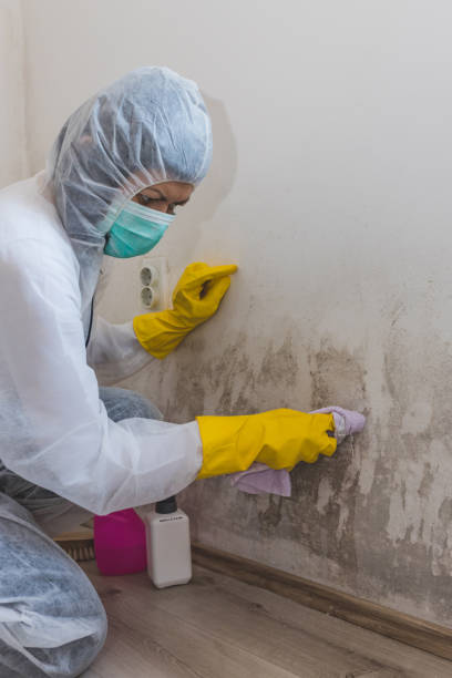 Best Dehumidification Services  in Junction City, KS