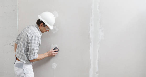 Best Black Mold Removal  in Junction City, KS