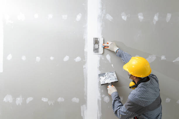 Best Water Damage & Mold Remediation  in Junction City, KS