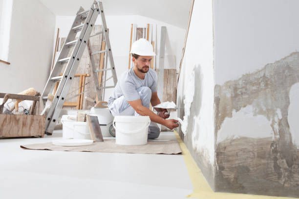 Best Biohazard Mold Removal  in Junction City, KS