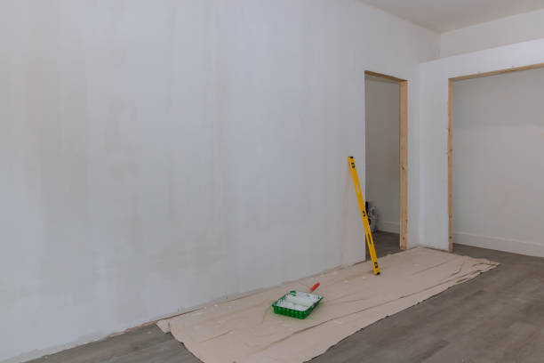 Best Emergency Mold Remediation  in Junction City, KS