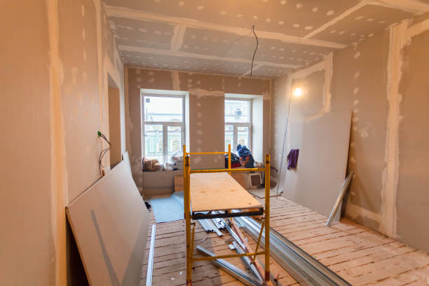 Best Mold Remediation for Healthcare Facilities  in Junction City, KS