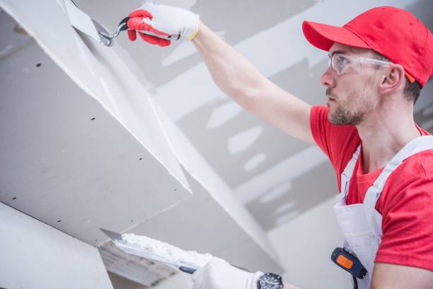 Best Forensic Mold Investigation  in Junction City, KS